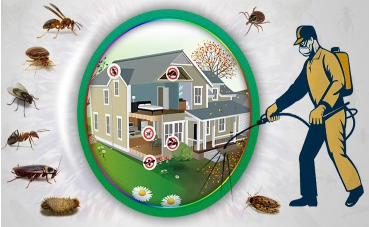 Esenyurt Böcek İlaçlama 